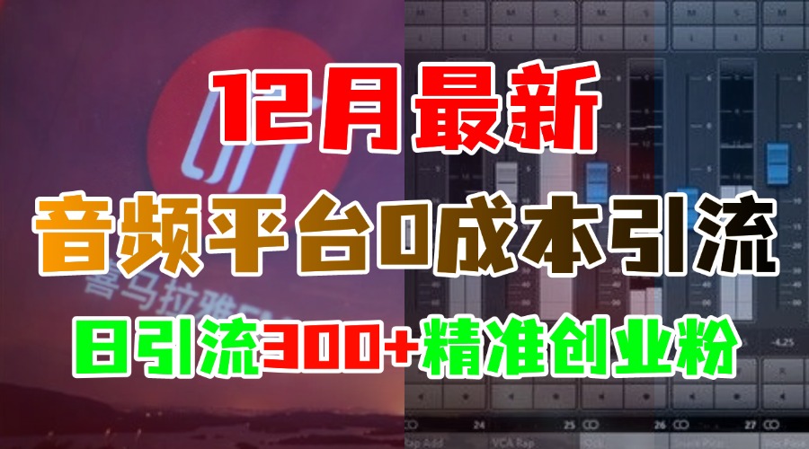 12月最新:音频平台0成本引流,日引300+精准创业粉-逍遥游