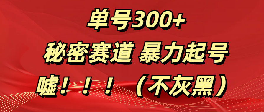 单号300+  秘密赛道 暴力起号  （不灰黑）-逍遥游