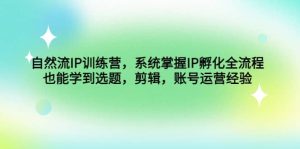 自然流IP训练营，系统掌握IP孵化全流程，也能学到选题，剪辑，账号运营经验-逍遥游