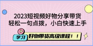 2023短视频好物分享带货，好物带货高级课程，轻松一句点拨，小白快速上手-逍遥游