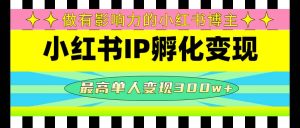 某收费培训-小红书IP孵化变现：做有影响力的小红书博主-逍遥游