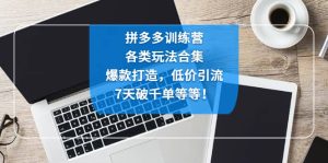 拼多多训练营：各玩法合集，爆款打造，低价引流，7天破千单等等-逍遥游