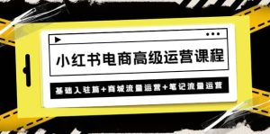 小红书电商高级运营课程：基础入驻篇+商城流量运营+笔记流量运营-逍遥游