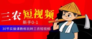 三农短视频从0~1运营课：30节实操课教练玩转三农短视频-逍遥游