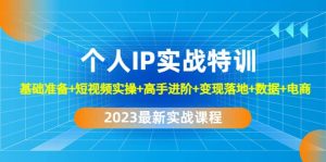 2023个人IP实战特训：基础准备+短视频实操+高手进阶+变现落地+数据+电商-逍遥游