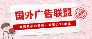 外面收费1980最新国外LEAD广告联盟搬砖项目，单号一天至少30美元(详细教程)-逍遥游