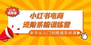 小红书电商进阶系统训练营：新手从入门到精通系统课（21节视频课）-逍遥游