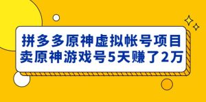 外面卖2980的拼多多原神虚拟帐号项目-逍遥游