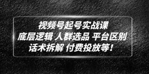 视频号起号实战课：底层逻辑 人群选品 平台区别 话术拆解 付费投放等-逍遥游
