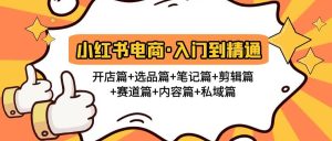 小红书电商入门到精通 开店篇+选品篇+笔记篇+剪辑篇+赛道篇+内容篇+私域篇-逍遥游