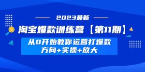 淘宝爆款训练营【第11期】 从0开始教你运营打爆款，方向+实操+放大-逍遥游