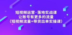 短视频运营·落地实战课 让账号有更多的流量（短视频流量+带货出单实操）-逍遥游