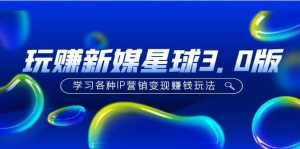 《玩赚新媒星球3.0版》学习各种IP营销变现玩法（价值498）-逍遥游