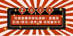 抖音直播带货实战班：直播间引流/转化/话术/等 学完就开干(无水印)-逍遥游