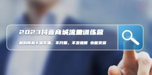 2023抖音商城流量班：利润商品卡流实操，不开播-不发视频-也能卖货(无水印)-逍遥游