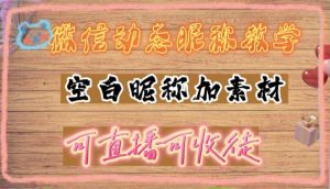 微信动态昵称设置方法，可抖音直播引流，日赚上百【详细视频教程+素材】-逍遥游