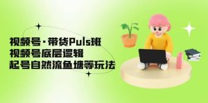 视频号·带货Puls班，视频号底层逻辑，起号自然流鱼塘等玩法-逍遥游