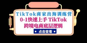 TikTok商家出海训练营：0-1快速上手 TikTok跨境电商底层逻辑(无水印)-逍遥游