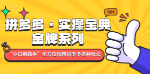 拼多多·实操宝典：金牌系列“小白到高手”带你全方位玩转拼多多各种玩法-逍遥游