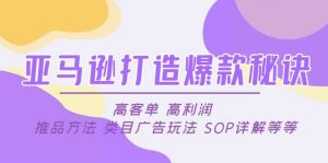 亚马逊打造爆款秘诀：高客单 高利润 推品方法 类目广告玩法 SOP详解等等-逍遥游