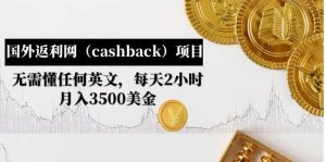 国外返利网(cashback)项目:无需懂任何英文,每天2小时,月入3500美元-逍遥游