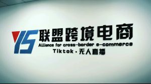 Tiktok无人直播，不出镜不剪辑不拍摄不发货无售后的跨境短视频玩法-逍遥游