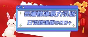 豆瓣精准暴力引流，日引精准粉500+【12视频课】-逍遥游