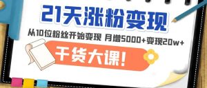21天精准涨粉变现干货大课：从10位粉丝开始变现 月增5000+-逍遥游