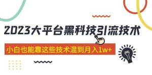 价值4899的2023大平台黑科技引流技术 29节课-逍遥游