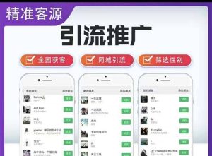 微信简单易上手引流方法，无门槛 小白即可操作 日引流300+【详细玩法教程】-逍遥游