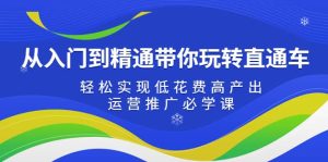从入门到精通带你玩转直通车：轻松实现低花费高产出，35节运营推广必学课-逍遥游
