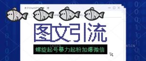 23年价值1980的图文引流创业粉螺旋起好技术暴力起粉加爆微信-逍遥游