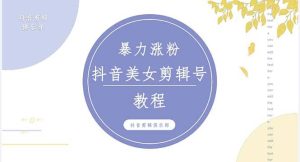 抖音快手暴力涨粉美女混剪视频教程 百分百过原创图片教程 附带违规申诉方法-逍遥游
