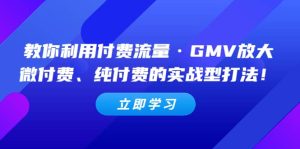 教你利用付费流量·GMV放大,微付费、纯付费的实战型打法-逍遥游