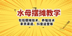 水母·摆摊教学，包括摆摊技术、养殖技术、拿货渠道、抖音运营等-逍遥游