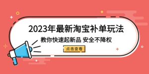 2023年最新淘宝补单玩法，教你快速起·新品，安全·不降权（18课时）-逍遥游