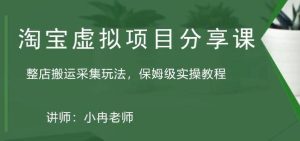 淘宝虚拟整店搬运采集玩法分享课：整店搬运采集玩法，保姆级实操教程-逍遥游
