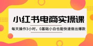 小红书·电商实操课：每天操作3小时，0基础小白也能快速做出爆款-逍遥游