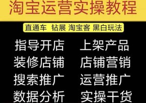 2023淘宝开店教程0基础到高级全套视频网店电商运营培训教学课程（2月更新）-逍遥游