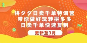 拼夕夕日卖千单特训营，带你做好玩转拼多多，日卖千单快速复制 (更新至3月)-逍遥游