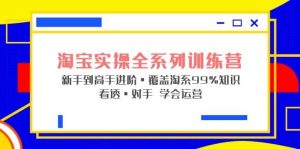 淘宝实操全系列训练营 新手到高手进阶·覆盖·99%知识 看透·对手 学会运营-逍遥游