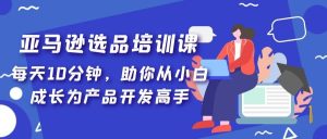 亚马逊选品培训课，每天10分钟，助你从小白成长为产品开发高手-逍遥游