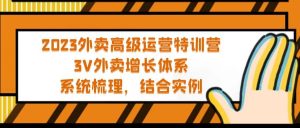 2023外卖高级运营特训营:3V外卖-增长体系,系统-梳理,结合-实例-逍遥游