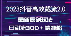 日引300＋创业粉，独家抖音高效截流2.0玩法（价值1280）-逍遥游