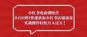 小红书电商训练营,小白0到1快速获取小红书店铺流量-逍遥游