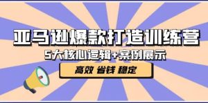 亚马逊爆款打造训练营：5大核心逻辑+案例展示 打造爆款链接 高效 省钱 稳定-逍遥游