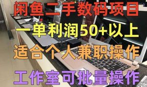 闲鱼二手数码项目，个人副业低保收入，工作室批量放大操作-逍遥游