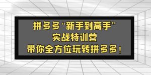 拼多多“新手到高手”实战特训营：带你全方位玩转拼多多-逍遥游