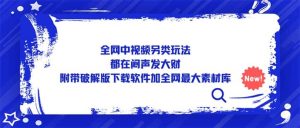 全网中视频另类玩法，都在闷声发大财，附带下载软件加全网最大素材库-逍遥游