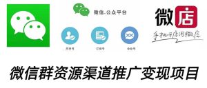 微信群码资源渠道内循环推广变现项目，多种变现方式，打通你的管道收益-逍遥游